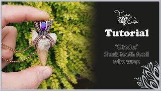 Otodus obliquus shark tooth fossil  wire wrap pendant tutorial  Bail stone setting technique [upl. by Locke408]