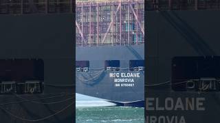 MSC ELOANE [upl. by Carree]