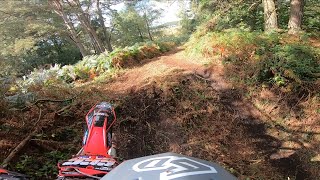 Track N Trail Lytchett GoPro [upl. by Johathan]