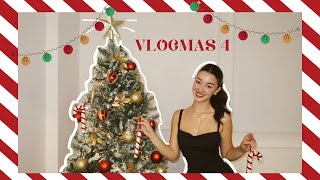 KUZHINA MORI FLAK PROVOJ ROBA BANJO NE MES TE DIMRIT  VLOGMAS 4 [upl. by Petrina]