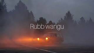 rabb wangu Jass manak slowed [upl. by Gleich661]