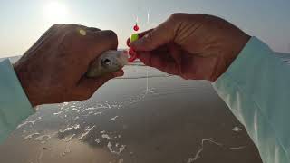 06 10 2023 Surf Fishin Tybee Island [upl. by Maloy]