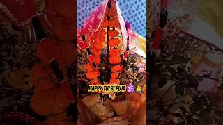 तुलसी विवाह की शुभकामनाये 🕉️🙏 shorts youtubeshorts tulsivivah ytshorts trending viralvideo [upl. by Lin844]