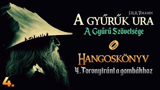 Hangoskönyv  A Gyűrűk Ura A Gyűrű Szövetsége  I4 fejezet [upl. by Yrtua459]