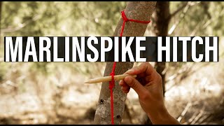 MARLINSPIKE HITCH  How to make a Marlinspike hitch to hang your gear in the bush [upl. by Nigen]