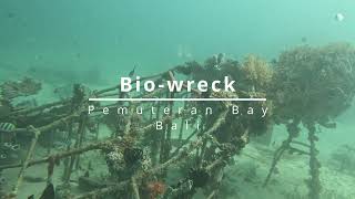 Pemuteran Bay  Kebun Chris and Bio wreck [upl. by Sharpe897]