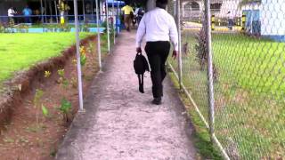 Aeropuerto de Bluefields Nicaragua Bluefields Nicaragua Airport [upl. by Lebasiairam]