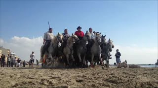 abrivado des plages à Palavas les Flots 25092016 [upl. by Claudio]