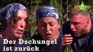 Preview auf die diesjährige DschungelStaffel 🥳 Das erwartet unsere Stars  1  Dschungelcamp 2022 [upl. by Phillipe]