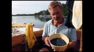 Folkboat sailing 2011 part 4 [upl. by Meridel]