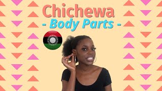 Learn Chichewa  Parts of the body  African Language  Educational Chichewa [upl. by Albers757]