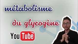 18 métabolisme du glycogène glycogénogénèse et glycogénolyse [upl. by Idissac]