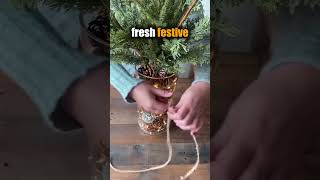 Easy DIY Christmas Vase Decoration in 30 Seconds 🎄✨ [upl. by Crissie569]