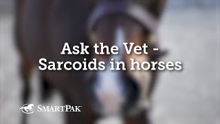 Ask the Vet  Sarcoids in horses [upl. by Elac]