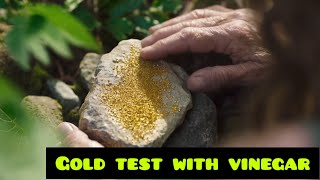 I Cant believe this worked so well  test gold with vinegar [upl. by Thamos]