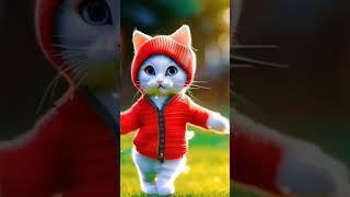 The kitten is missing shorts cat video [upl. by Ailefo705]