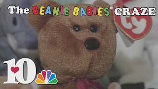 Knoxvilles Beanie Babies Craze [upl. by Ahsier519]