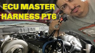 MK3 SUPRA BUILD CUSTOM ECU MASTER HARNESS PART 6  FINISHING SENSORS [upl. by Kcim]