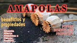 Semillas de amapola beneficios propiedades y valor nutricional [upl. by Ancalin94]