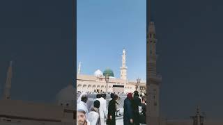 mere nabi pyare nabi naatmadinasharif shorts status you [upl. by Yrannav851]