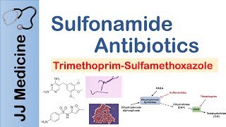 Sulfonamide Antibiotics  Bacterial Targets Mechanism of Action Adverse Effects [upl. by Rodina83]