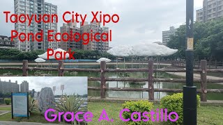 Taoyuan City Xipo Pond Ecological Park [upl. by Lepp]