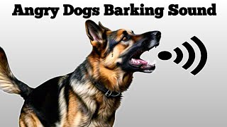 Dog Sound  Dog Barking  Dog Voice  Kutte Ki Bhaunkne Ki Awaaz [upl. by Volin]