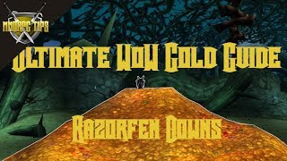 Razorfen Downs Gold Farming  The Ultimate WoW Gold Guide [upl. by Cassilda]