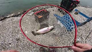 Fishing Rollins Lake after January stocking [upl. by Nager745]