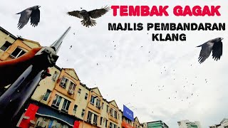 1811 Operasi Tembak Gagak MAJLIS PEMBANDARAN KLANG [upl. by Bonnibelle]