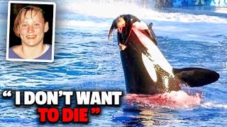 The Horrifying Last Moments of Seaworld Trainer Keltie Byrne [upl. by Kroo655]