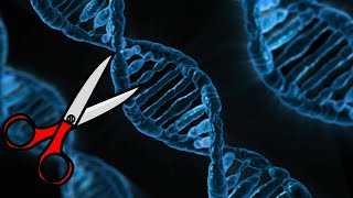 Gene Editing Technology  ZFNs TALENs CRISPRCas9 [upl. by Alusru]