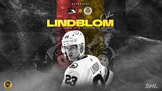 Intervju med Oskar Lindblom quotAlltid varit en dröm att få spela i Brynäs igenquot [upl. by Afaw]