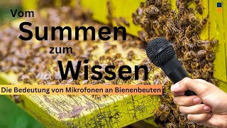 Können Mikrofone an Bienenbeuten sinnvolle Information für den Imker erfassen [upl. by Georgianna]