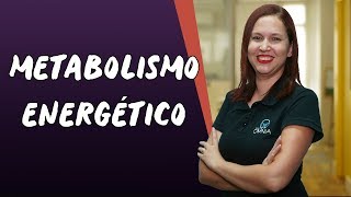 Metabolismo Energético  Brasil Escola [upl. by Enoed]