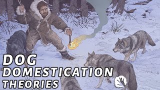 4 Dog Domestication Theories [upl. by Fredela926]