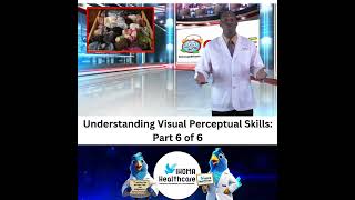 Gaining a Better Understanding of Visual Perceptual Skills Part 6 of 6 [upl. by Marbut193]