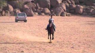 Riding horses at Alrudaf Park ركوب الخيل بالردف  الطائف2 [upl. by Nnylf194]