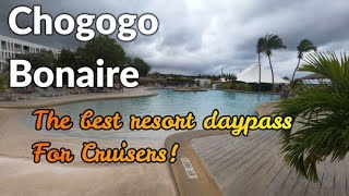 Chogogo Bonaire A Great Resort offering cruise day passes [upl. by Milly]