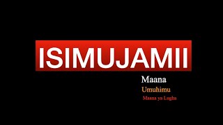 utangulizi wa isimujamii  isimujamii  isimu  jamii  lugha  umuhimu wa lugha [upl. by Odelet828]