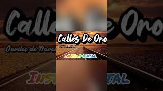 Daviles de Novelda  Las calles de oro  versión instrumental cortos [upl. by Otilegna]