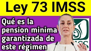 Ley 73 IMSS Todo sobre la Pensión Mínima Garantizada en este Régimen [upl. by Thora]