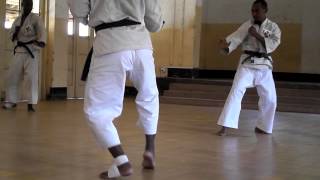 shorinji kempo tanzania [upl. by Trinette29]