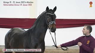 Lot 68 Hengst v JovianFürst Romancier [upl. by Eladroc]