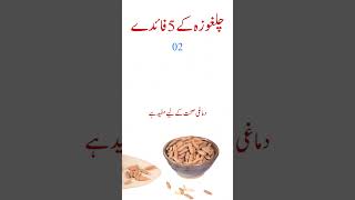 Pine Nuts benefits  Chilgoza kay fayde in urdu  ‪AureusHealthCare [upl. by Allez60]