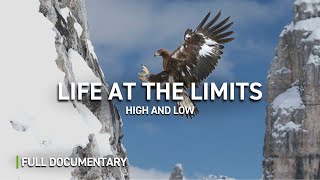 Surviving Extreme Heights and Depths  Full Documentary  Autentic Nature [upl. by Roddy]