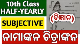 10th class half yearly exam 2024 science question paper  10th class half yearly exam 2024 [upl. by Ytsirhk]