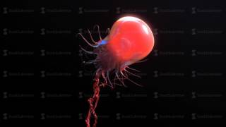 Jellyfish underwater going to the sun 4k animation [upl. by Craggie]