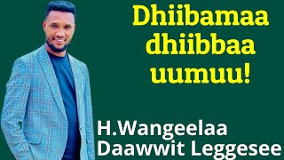 Dhiibamaa dhiibbaa uumuuHojjetaa Wangeelaa Daawwit Lggaseeburkagaritube [upl. by Wallas]