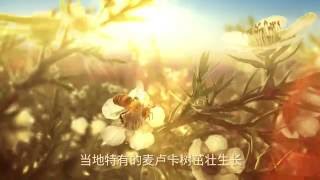 Manuka honey every precious drop Mandarin Subtitles [upl. by Onitsuj711]